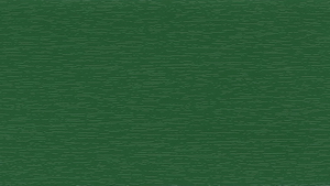 RENOLIT EXOFOL Изумрудно-зеленый (Emerald Green)